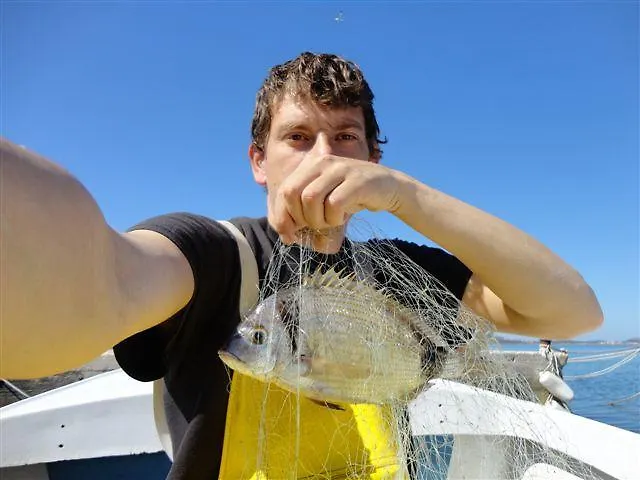 Sljuka * ピロヴァッツ